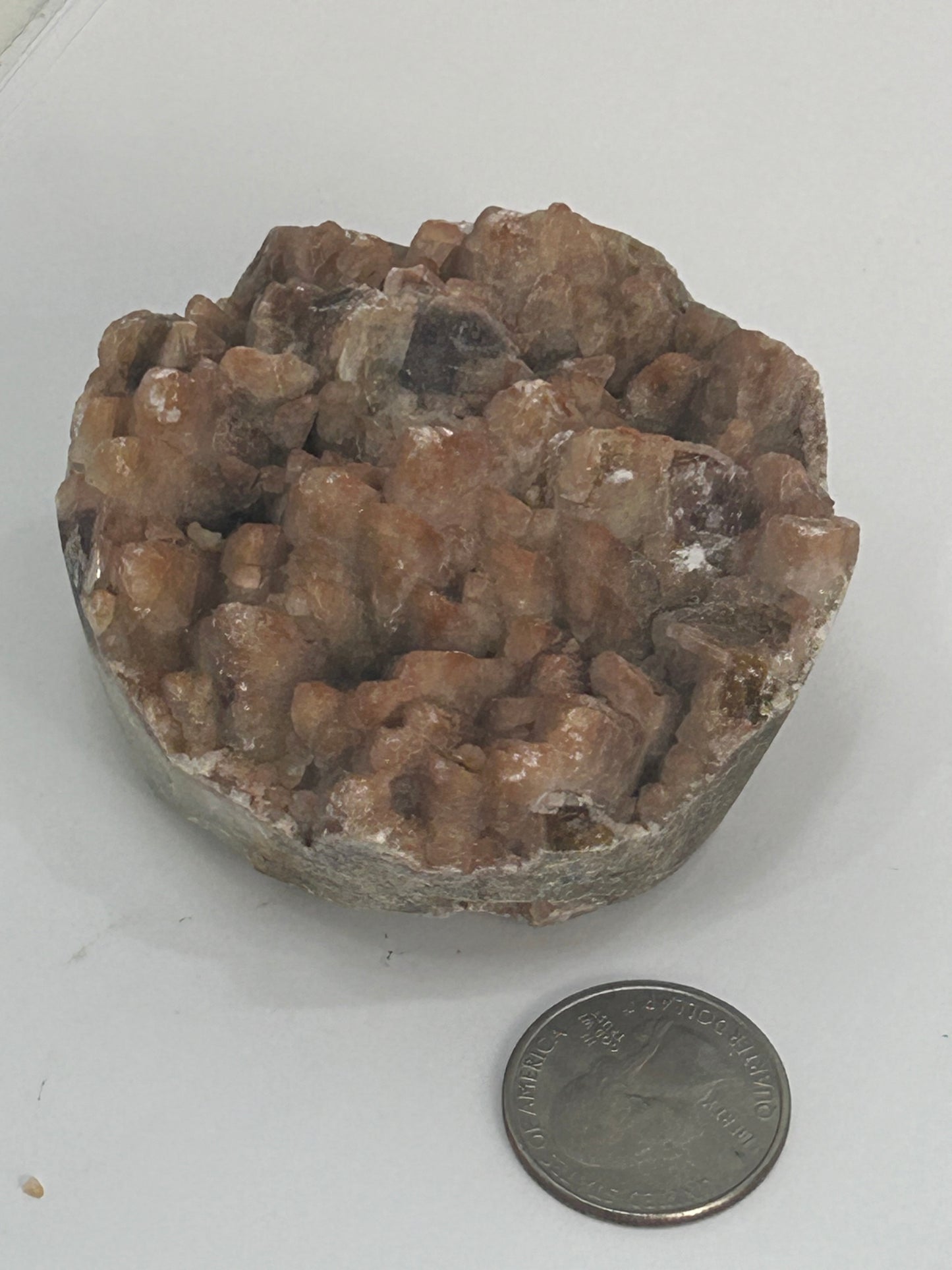 PORK STONE CLUSTERS-  Grounding, Vitality, and Emotional Balance