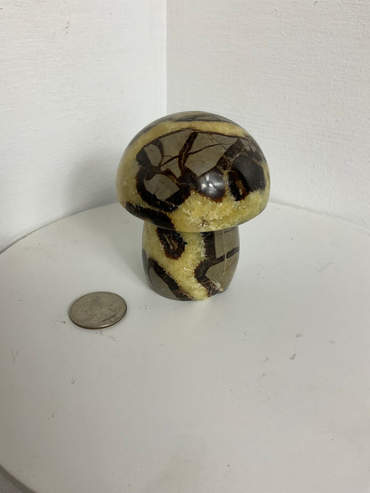 SEPTARIAN MUSHROOM - Grounding, Wisdom, Transformation