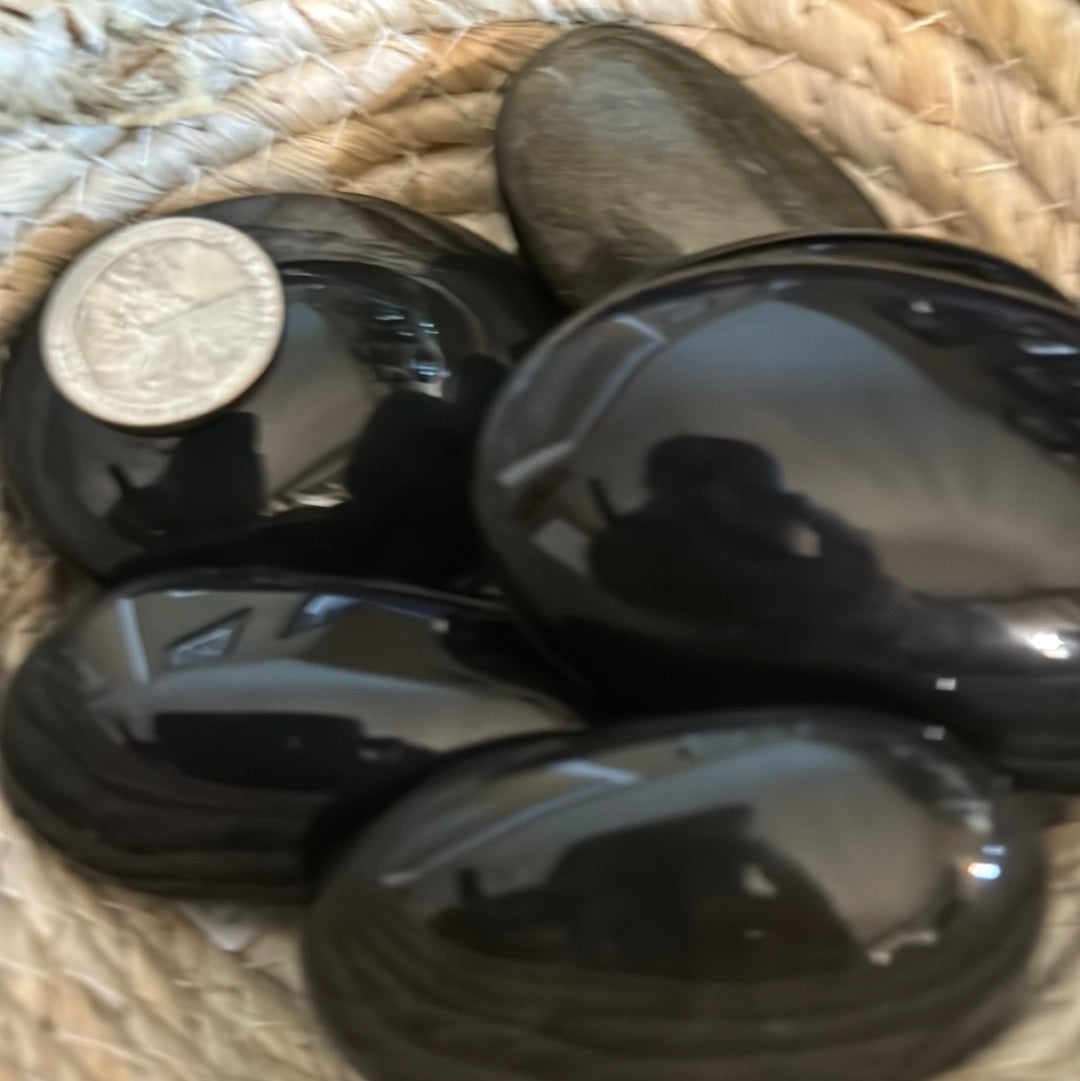 OBSIDIAN PALM STONE-growth, protection, transformation