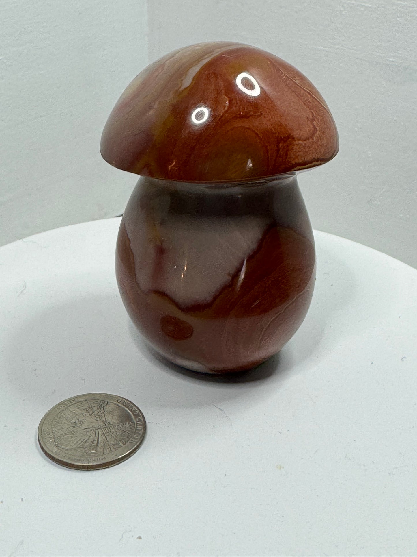 POLYCHROME MUSHROOM-creativity, positivity, spiritual growth