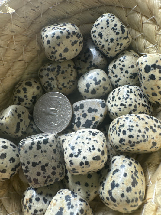 DALMATIAN JASPER TUMBLES-Playfulness, Grounding,Joyful Energy