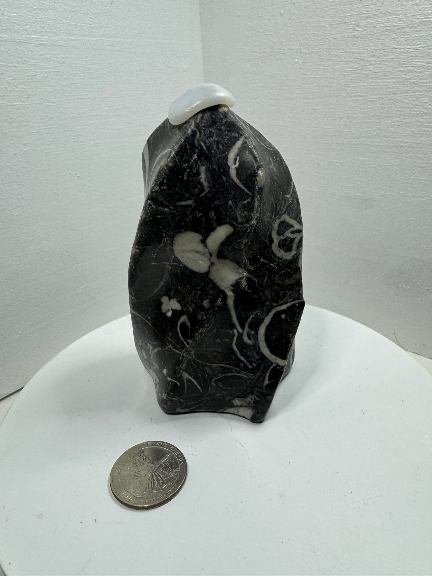 ZEBRA  JASPER FLAME-alleviate stress, enhance mental clarity, harmony.