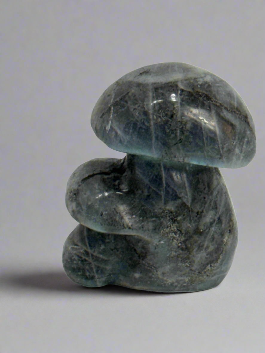 LABRADORITE MUSHROOM -Intuition, Transformation, and Mystical Energy