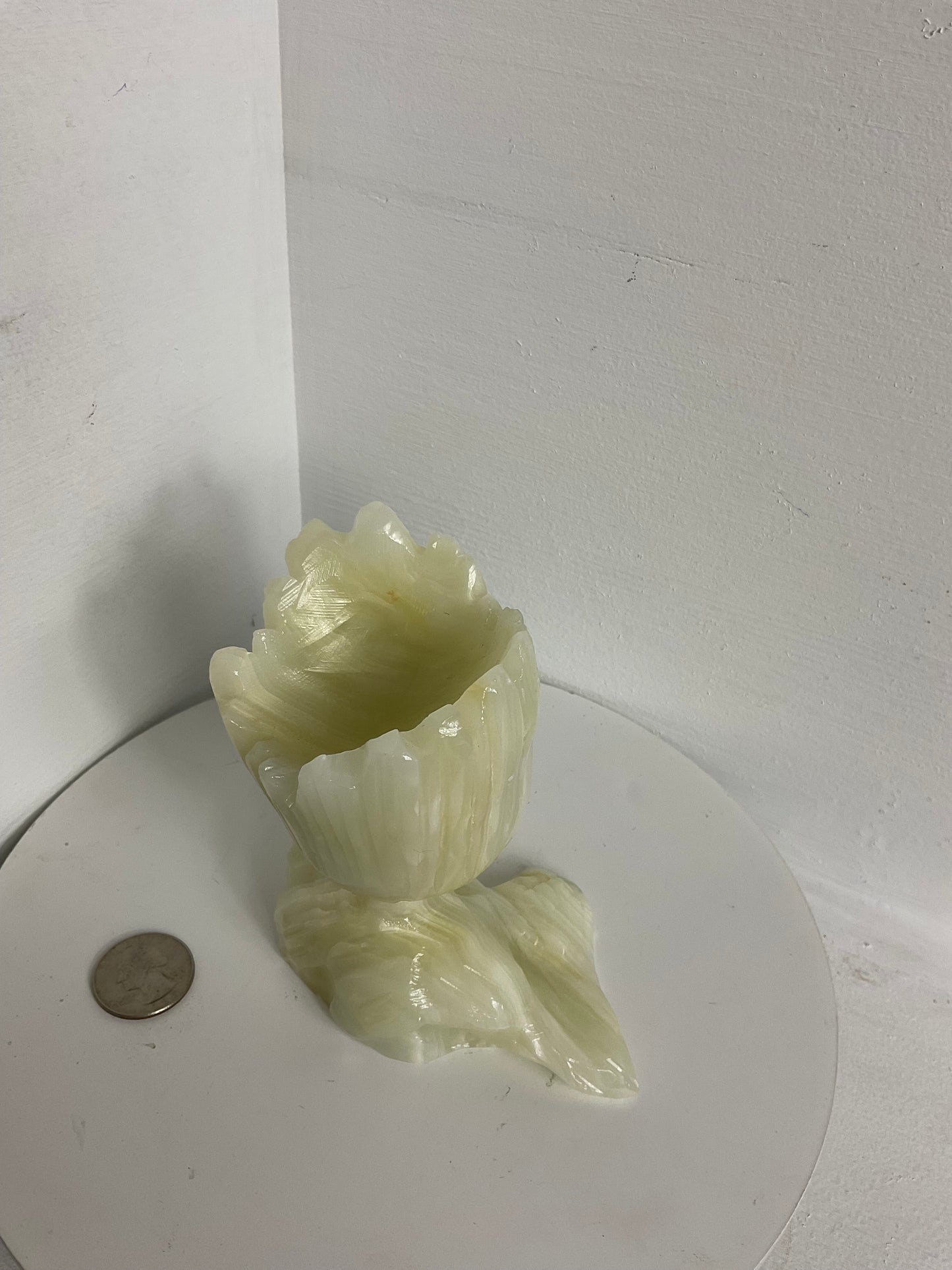 AFGHAN JADE GROOT CARVING-Growth, Protection,  Connection to Nature