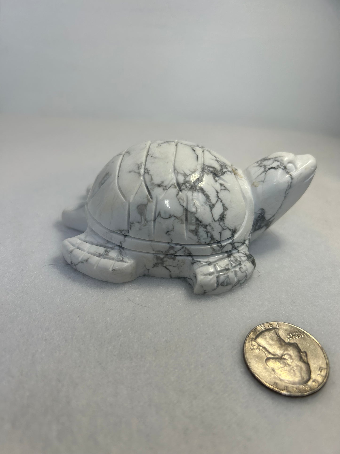 HOWLITE TURTLE CARVING-intuition, protection, and spiritual awakening