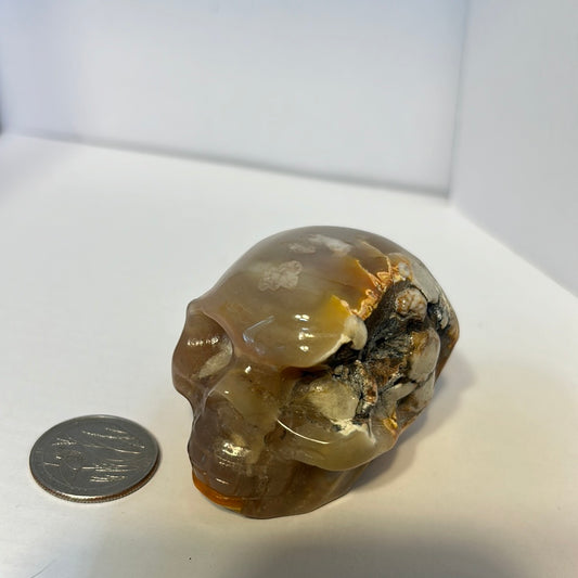 FLOWER AGATE SKULL-growth, manifestation, transformation