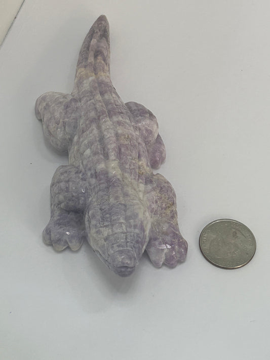 PURPLE JADE ALLIGATOR