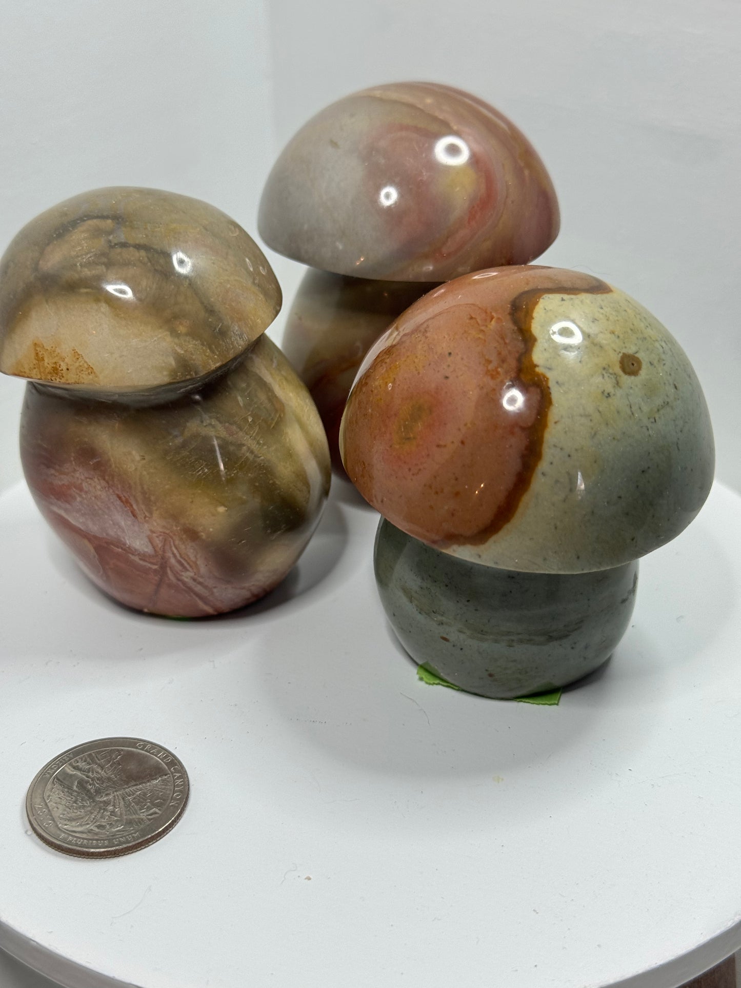 POLYCHROME MUSHROOM-creativity, positivity, spiritual growth