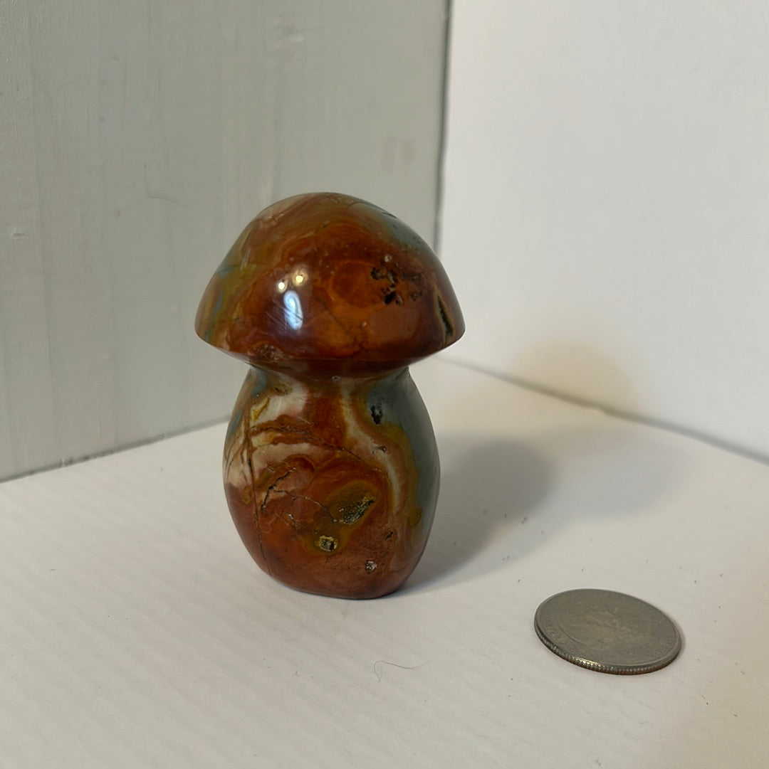 POLYCHROME MUSHROOM-creativity, positivity, spiritual growth