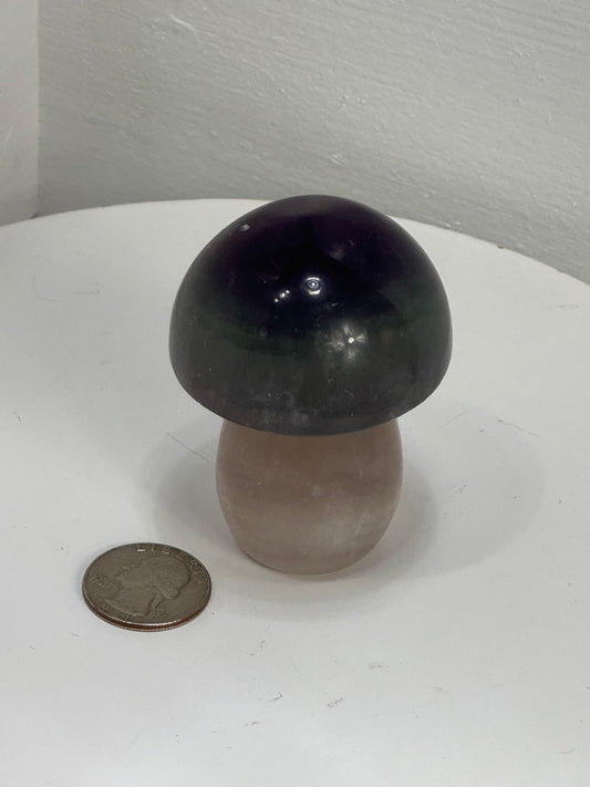 FLUORITE MUSHROOM CARVING-clarity, focus, growth