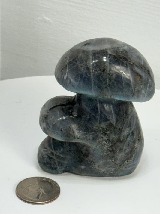 LABRADORITE MUSHROOM -Intuition, Transformation, and Mystical Energy