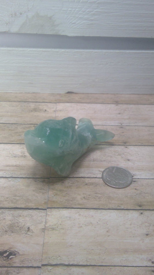 FLUORITE DOLPHIN -Joy, Healing, and Spiritual Connection